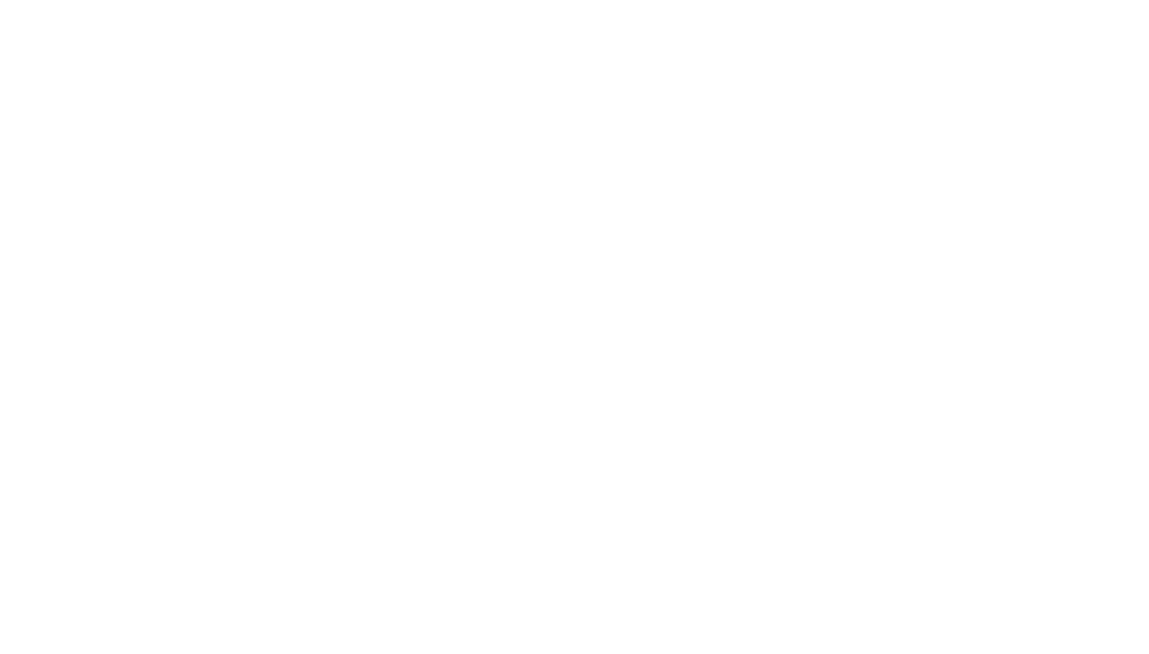 Anie Cleaning Services